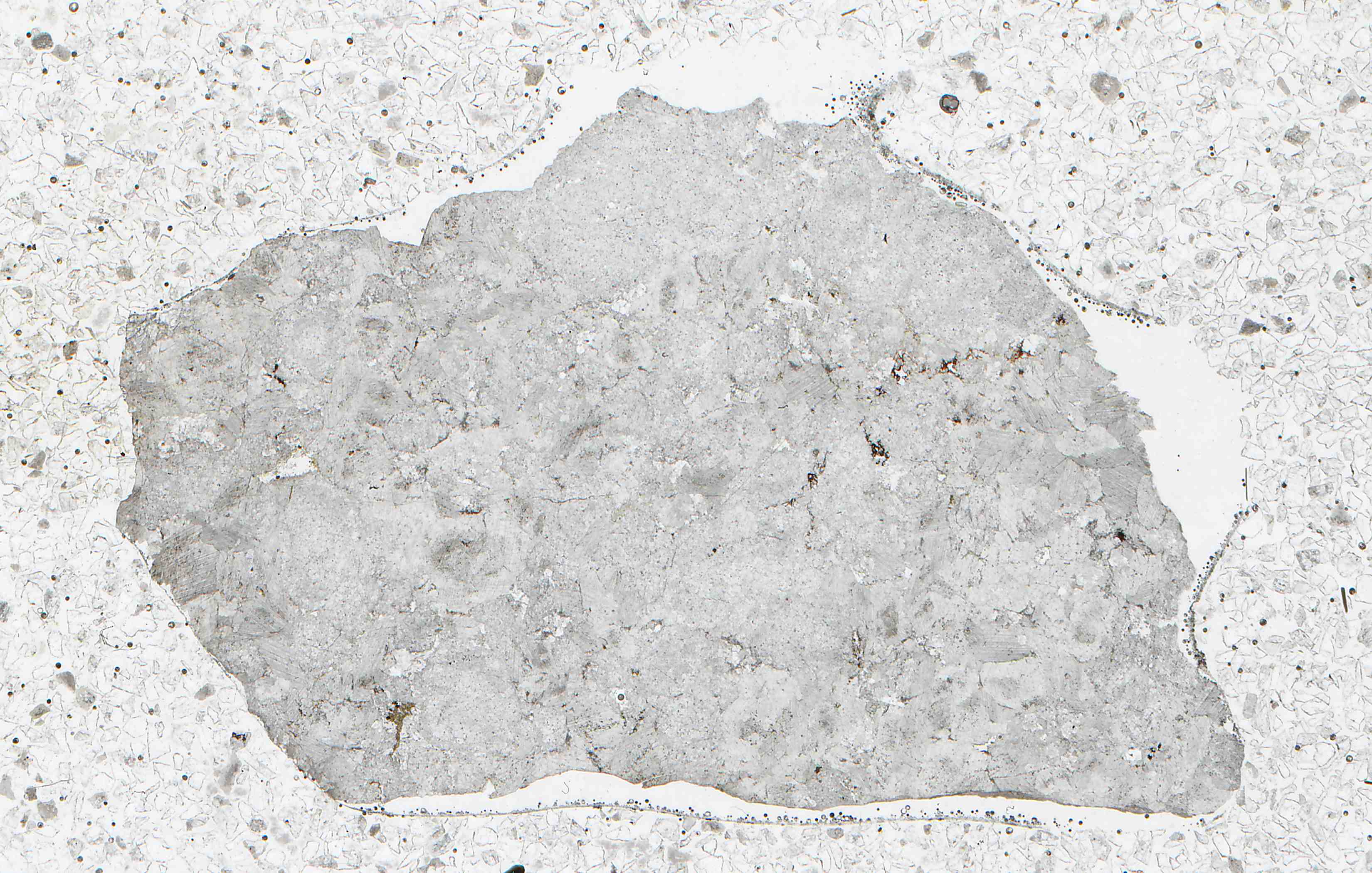 Mountain Pass California carbonatite in thin section