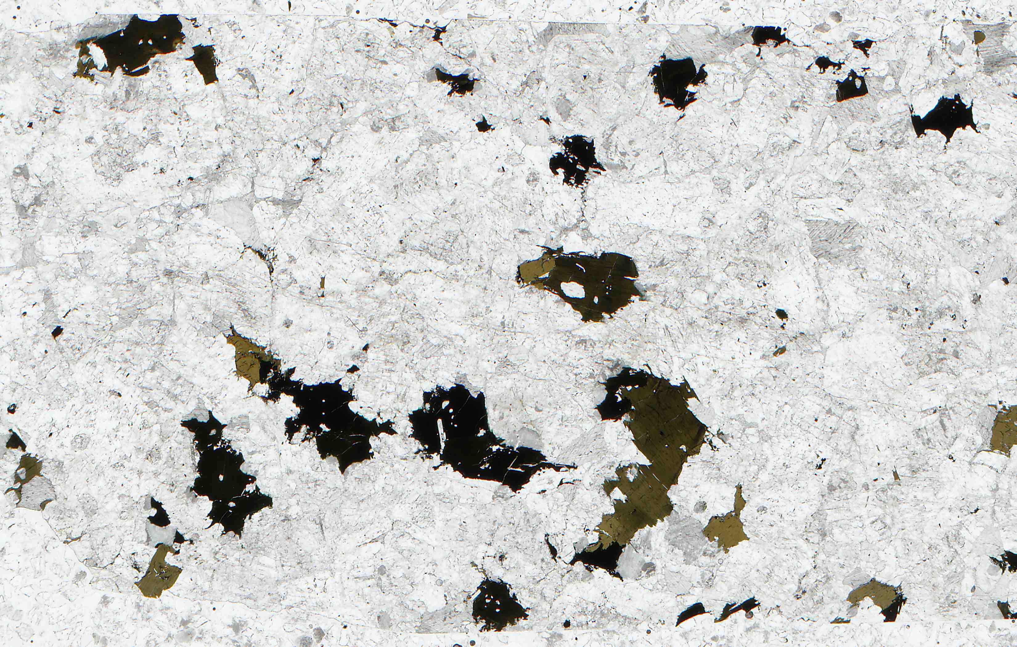 Tien Shan Mountains Tajikistan cancrinite nepheline syenite in thin section