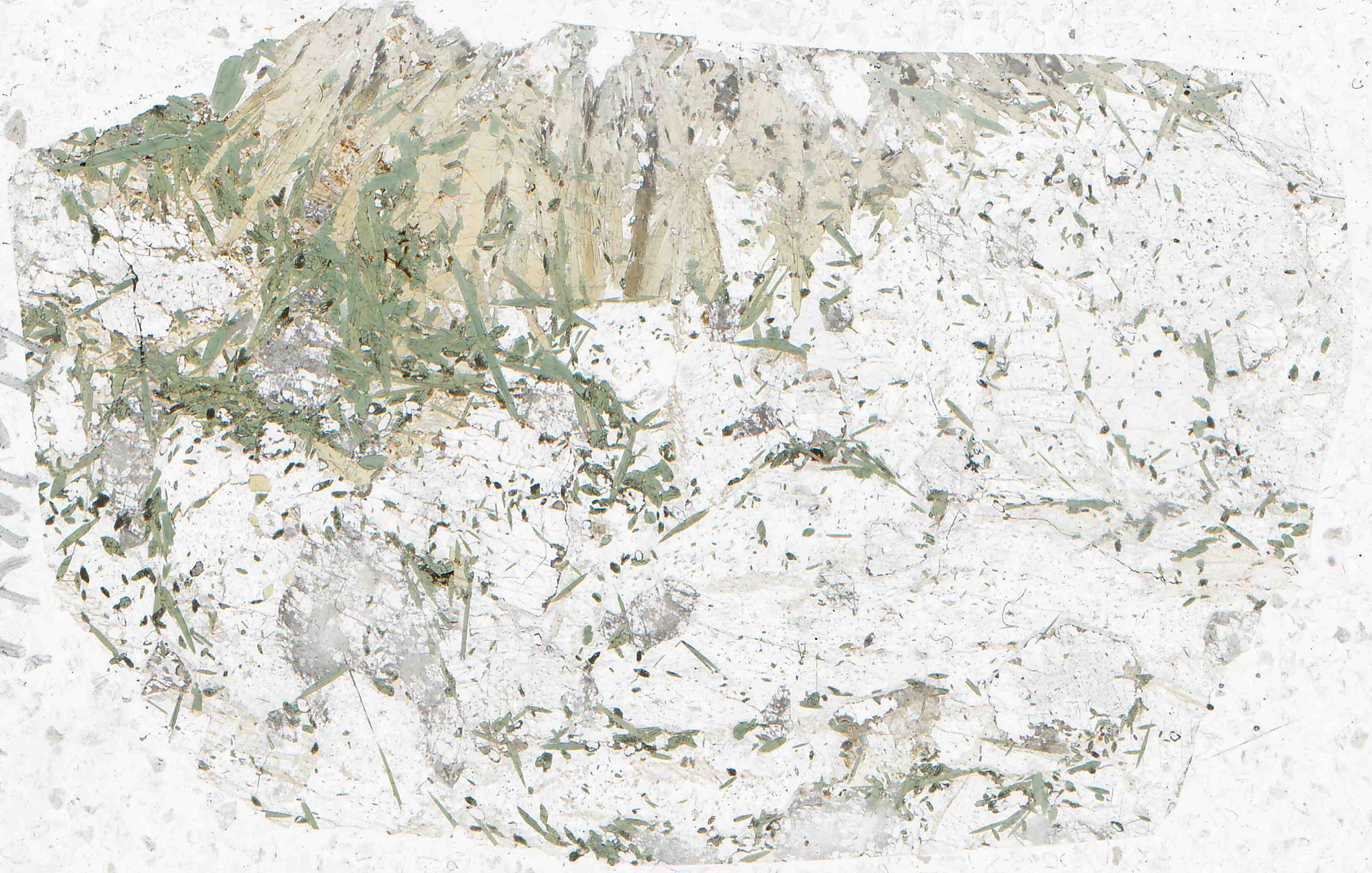 Lovozero Kola Russia lamprophyllite syenite in thin section