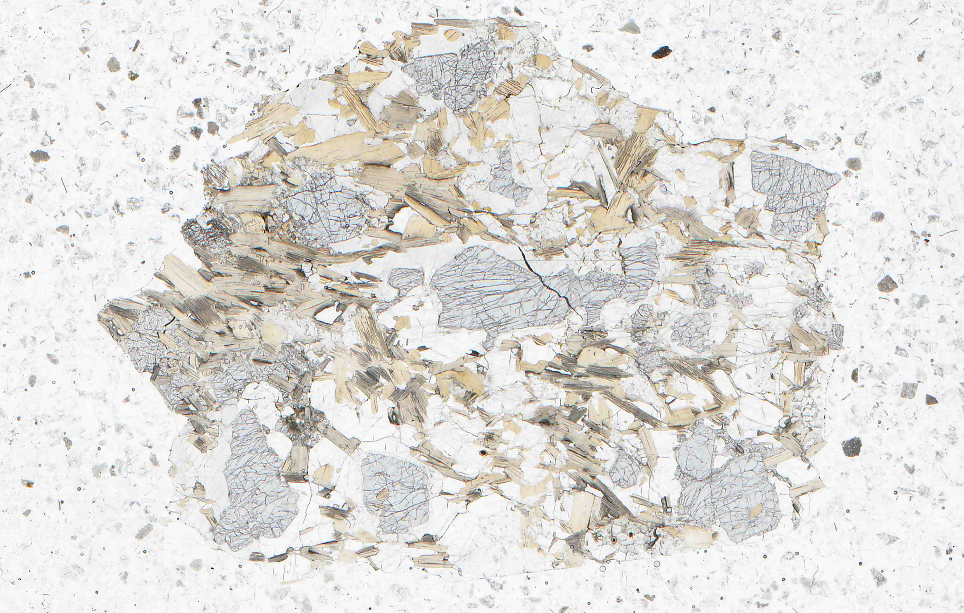 Madagascar sapphirine in thin section