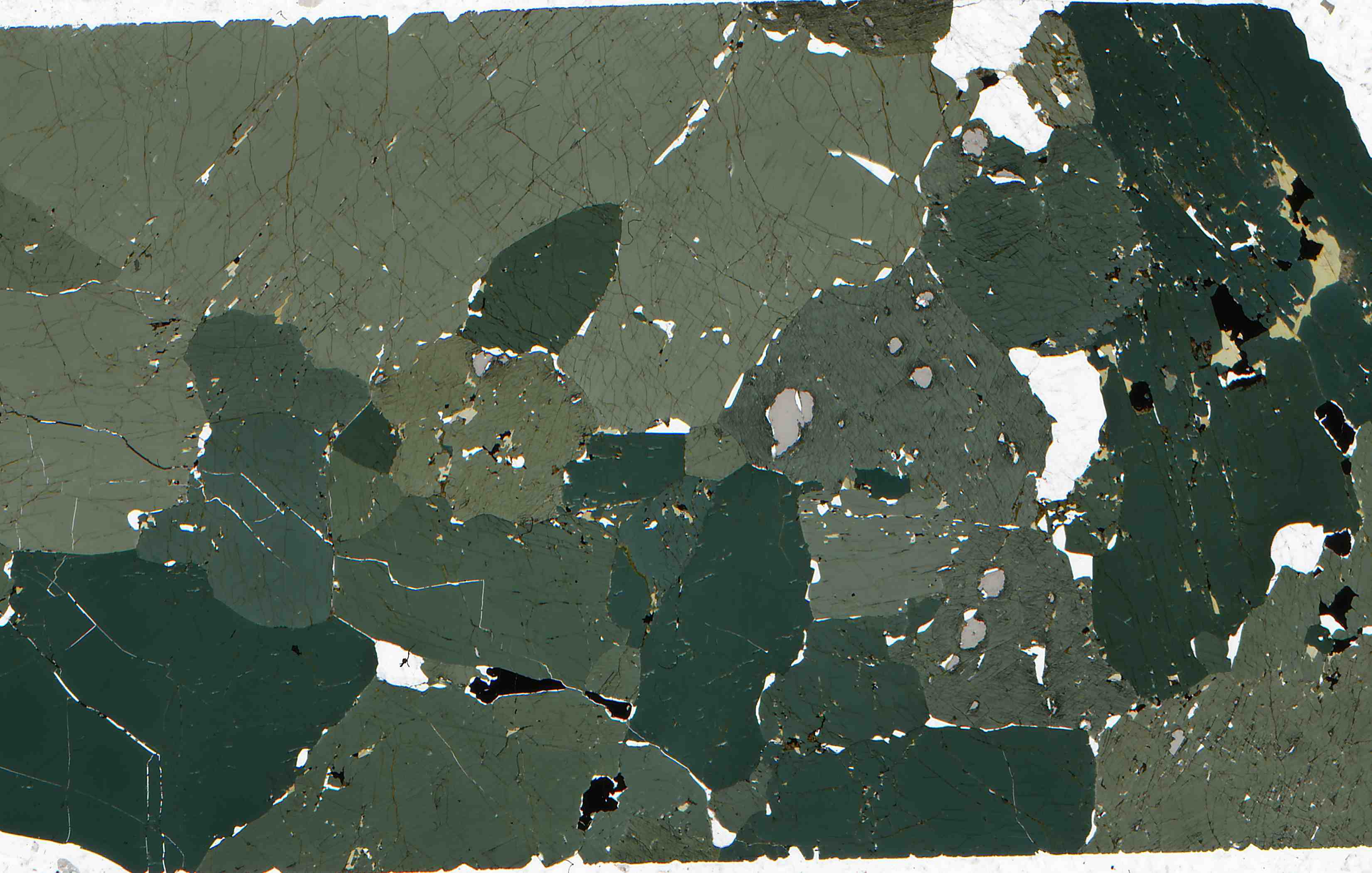 Jayville mine New York hastingsite in thin section
