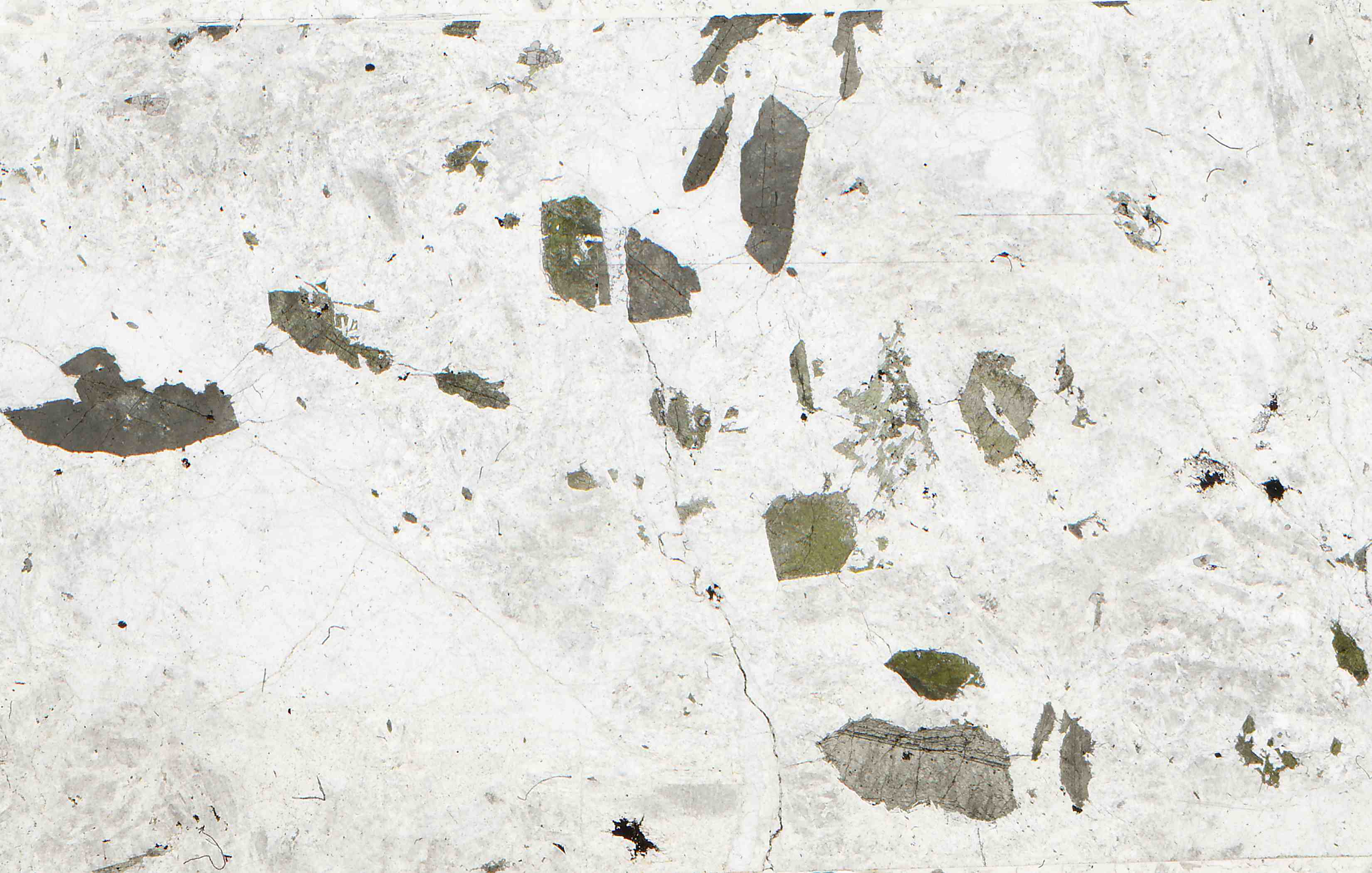 nepheline sodalite syenite in thin section