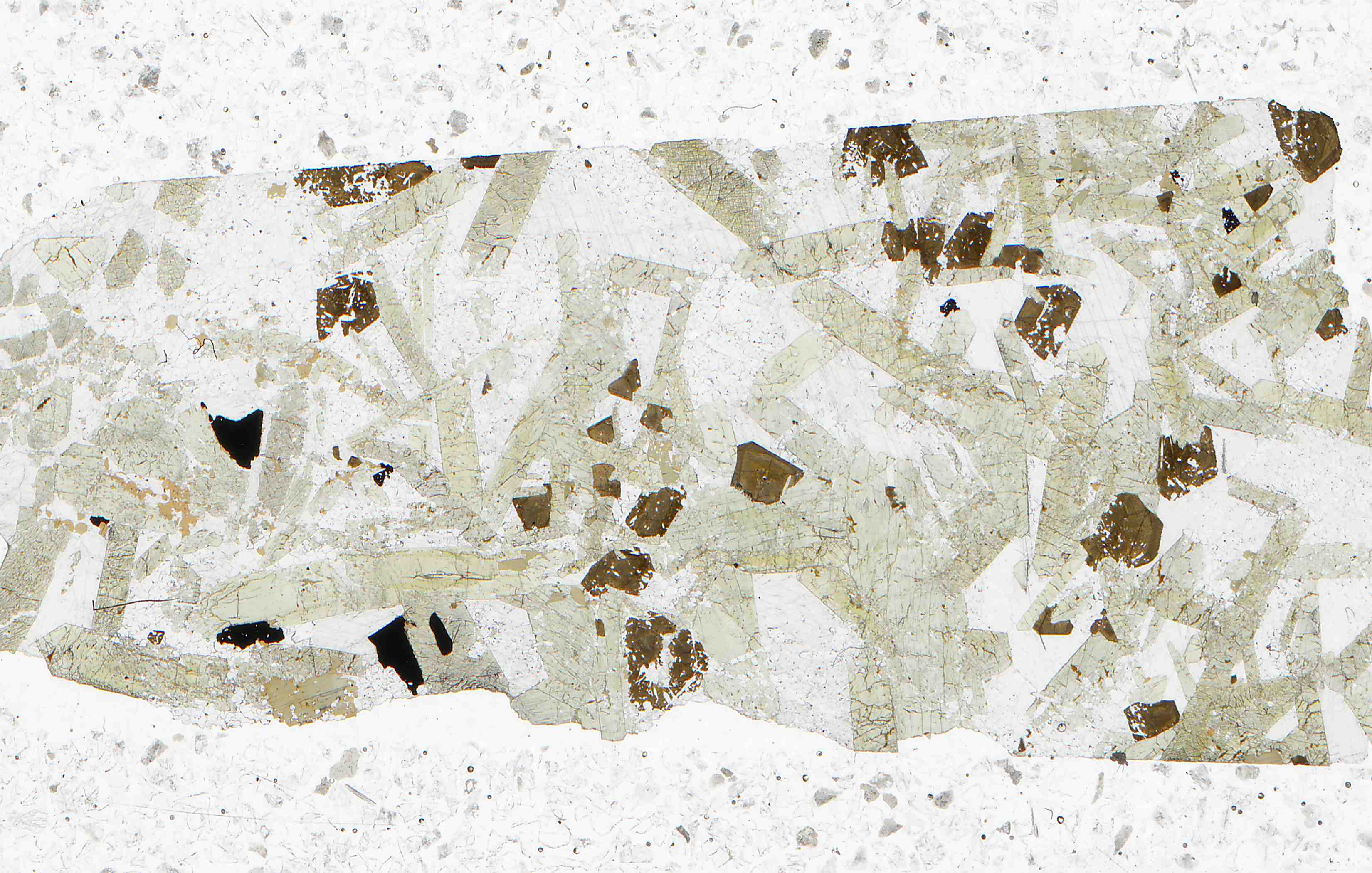 Oka Quebec pyrochlore bearing carbonatite in thin section