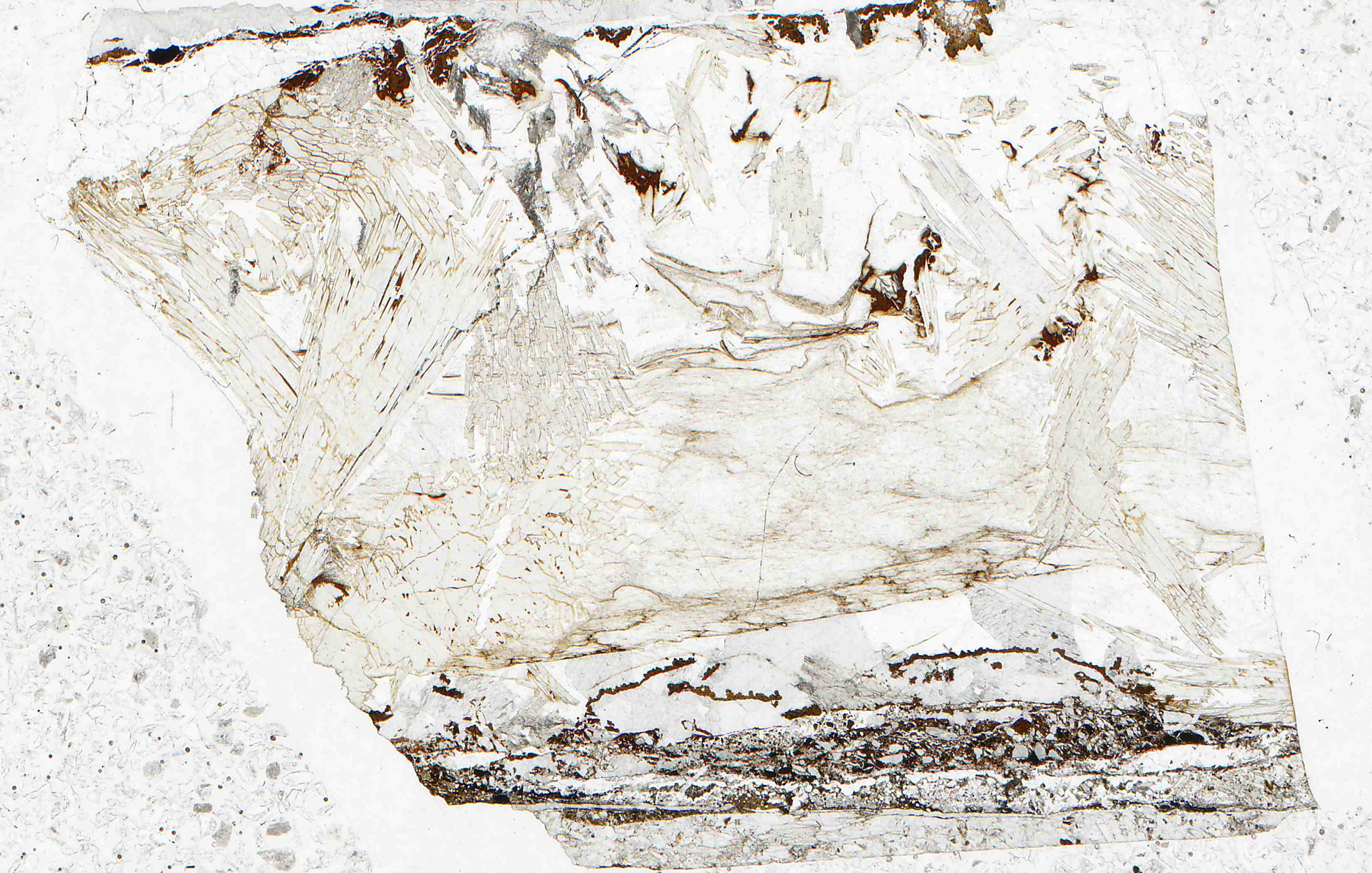 Broken Hill inesite in thin section