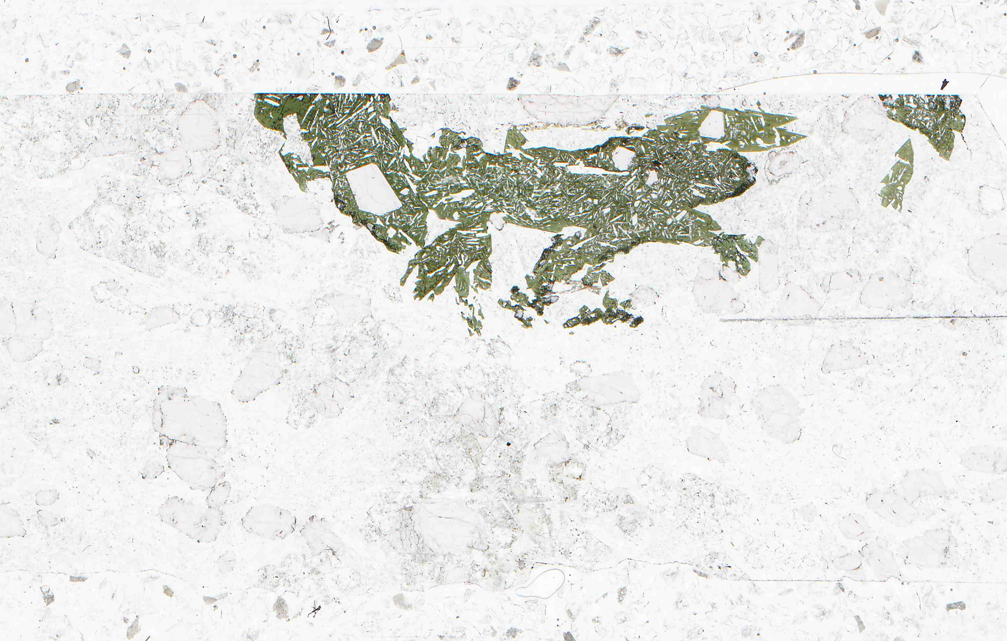 Ilimaussaq Greenland eudialyte kakortokite in thin section