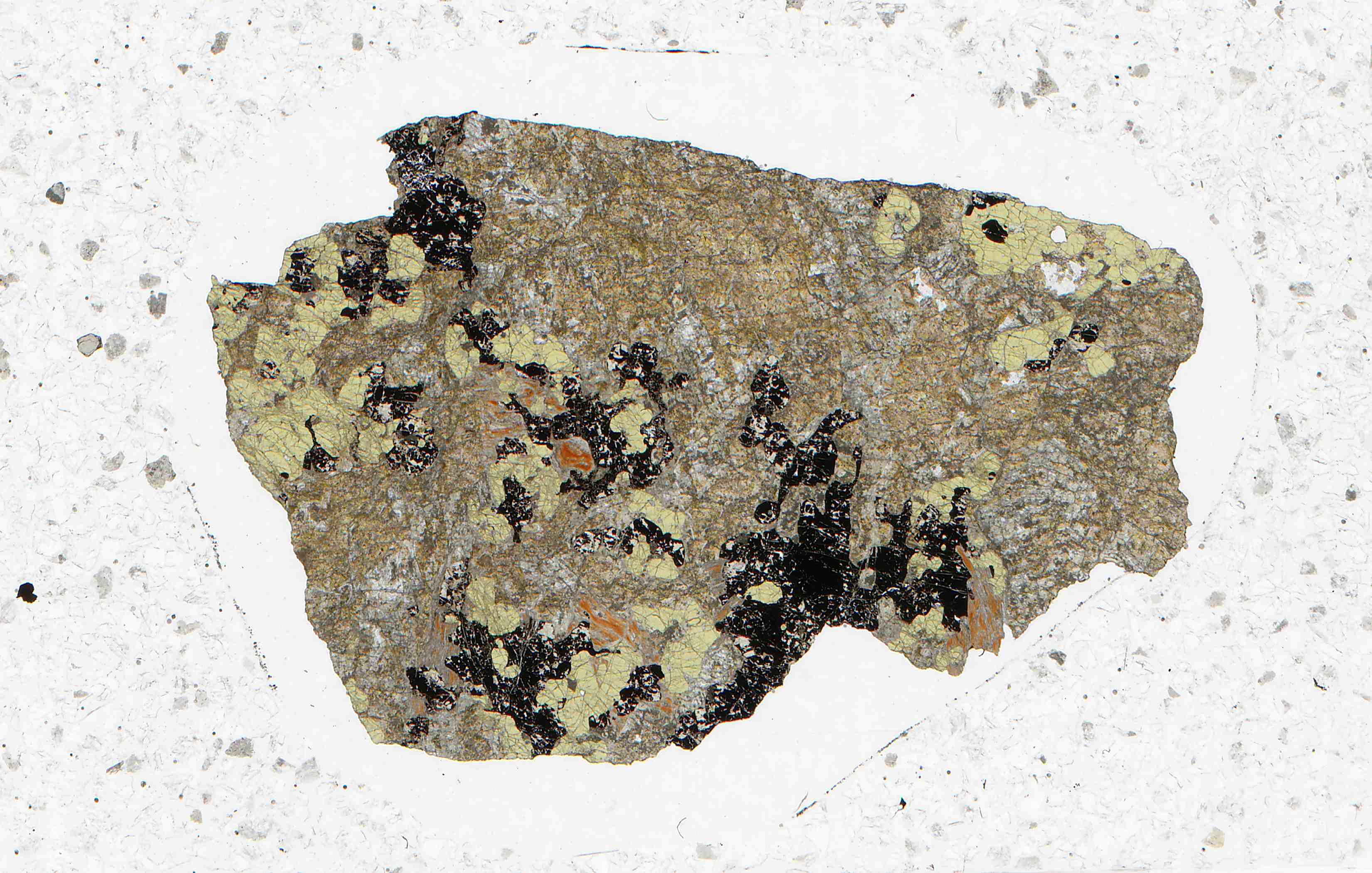 Franklin New Jersey hancockite in thin section