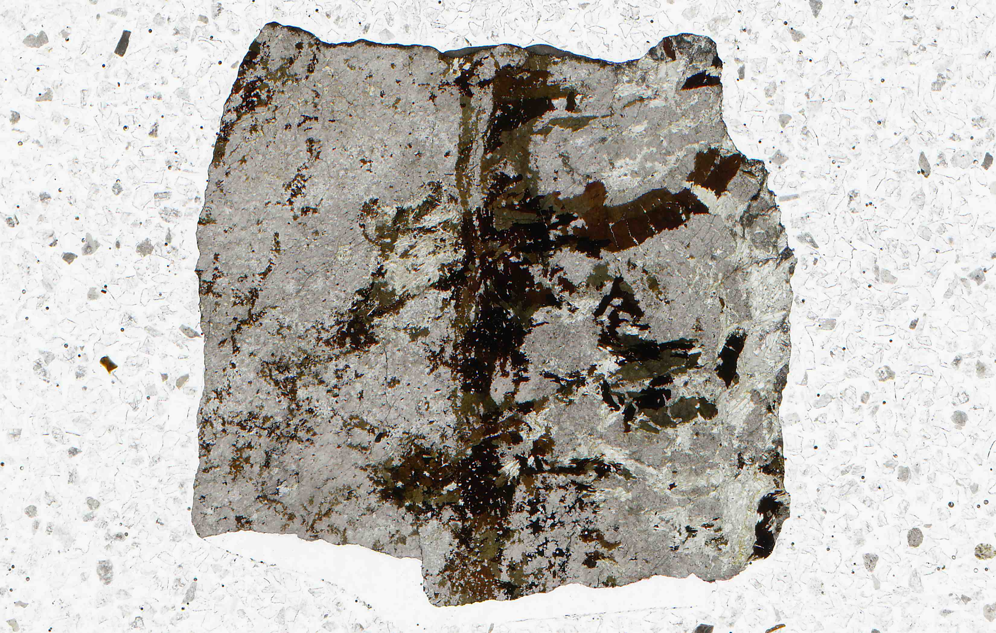Bastnas Sweden ferri-allanite and cerite in thin section