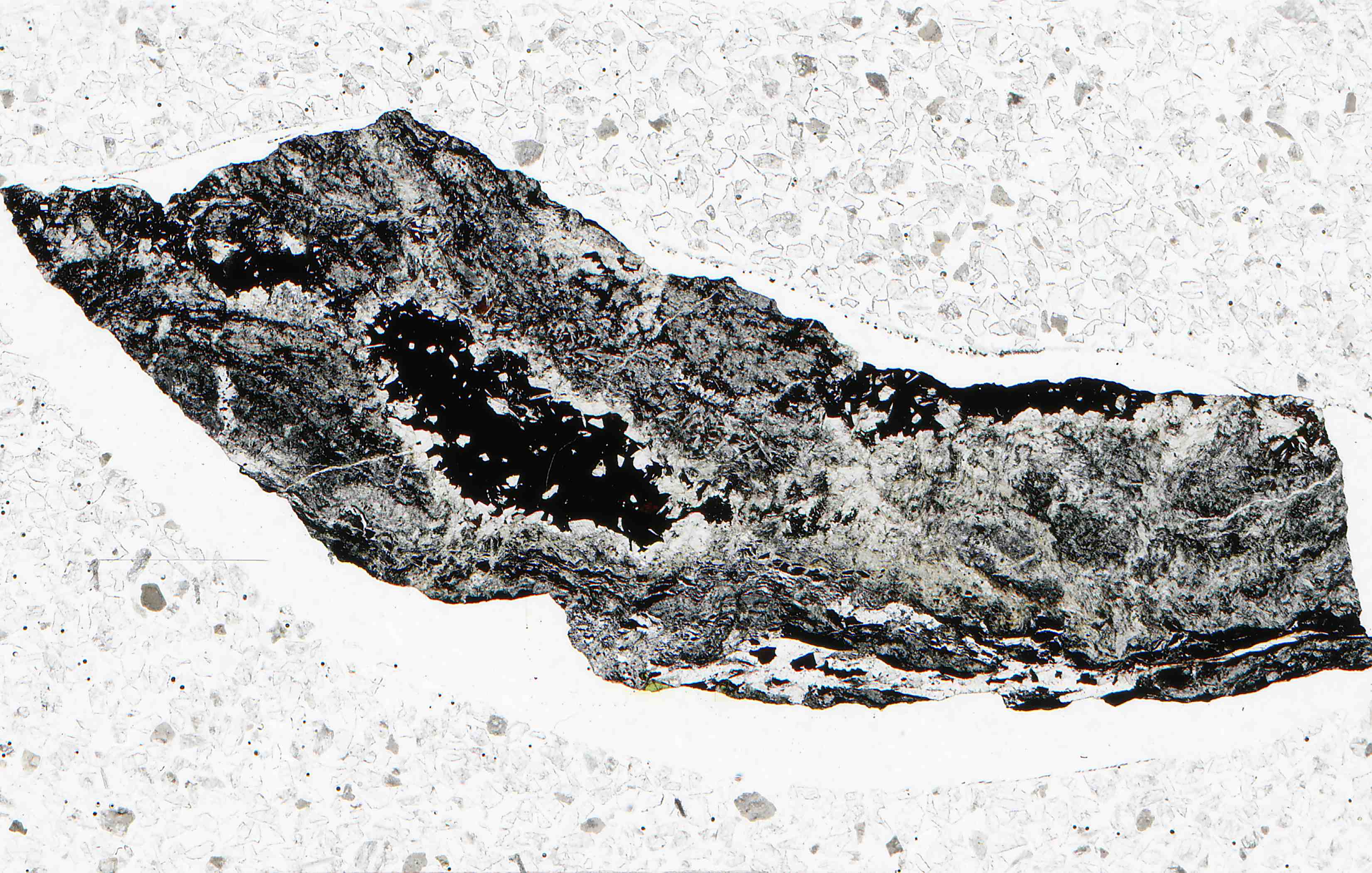 Tetetice near Klatovy Czech Republic goldmanite and mukhinite in thin section
