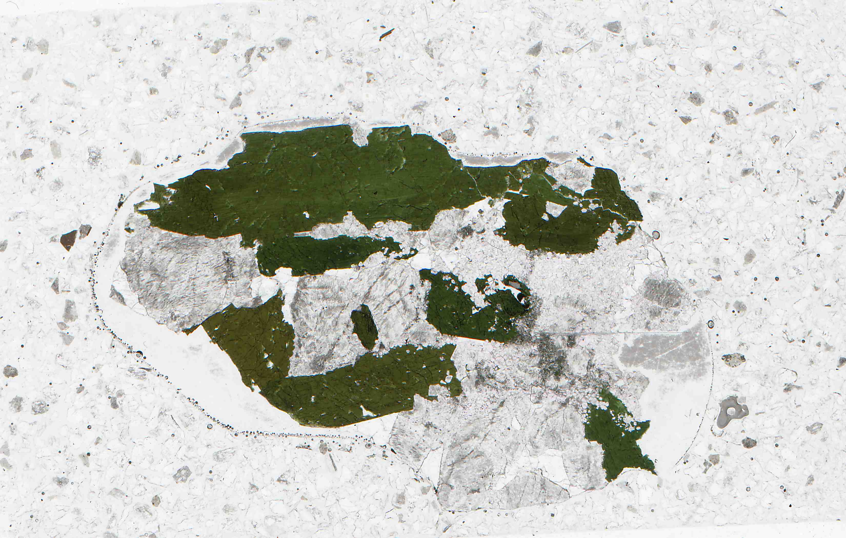 Alaska eudialyte in thin section