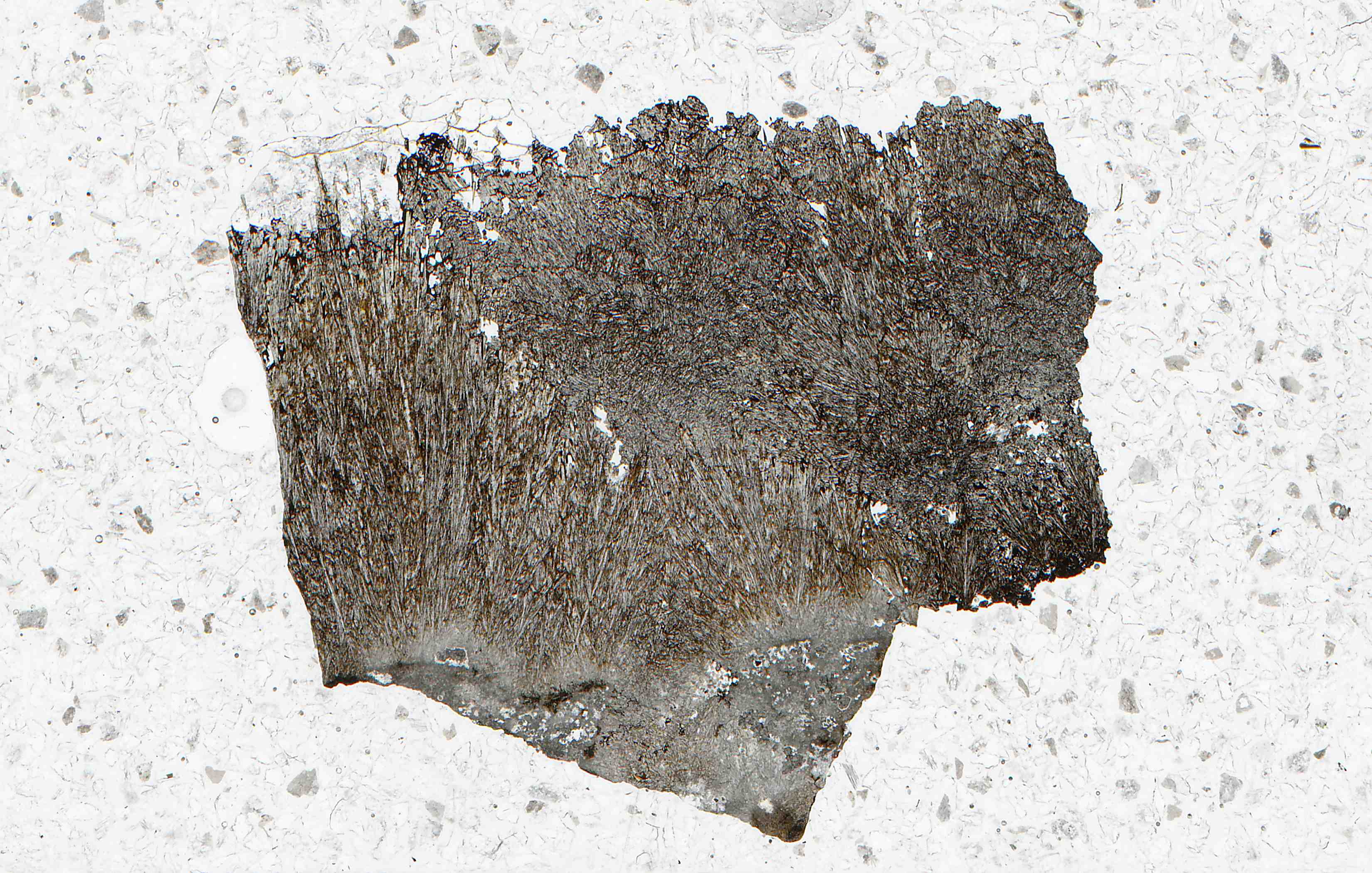 Iron Cap mine Arizona johannsenite in thin section