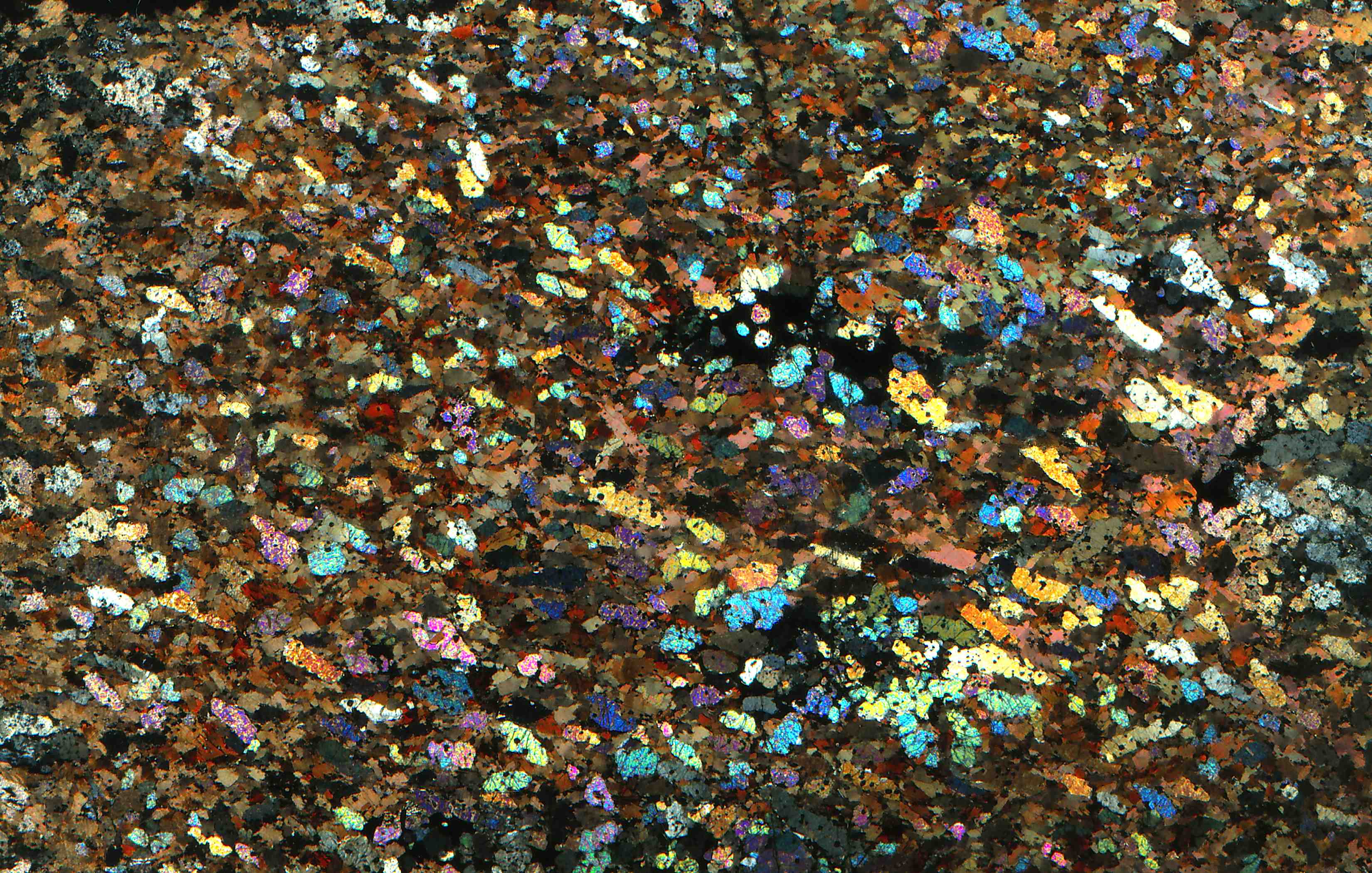 Bad Harzburg Germany mica peridotite glimmerite in thin section