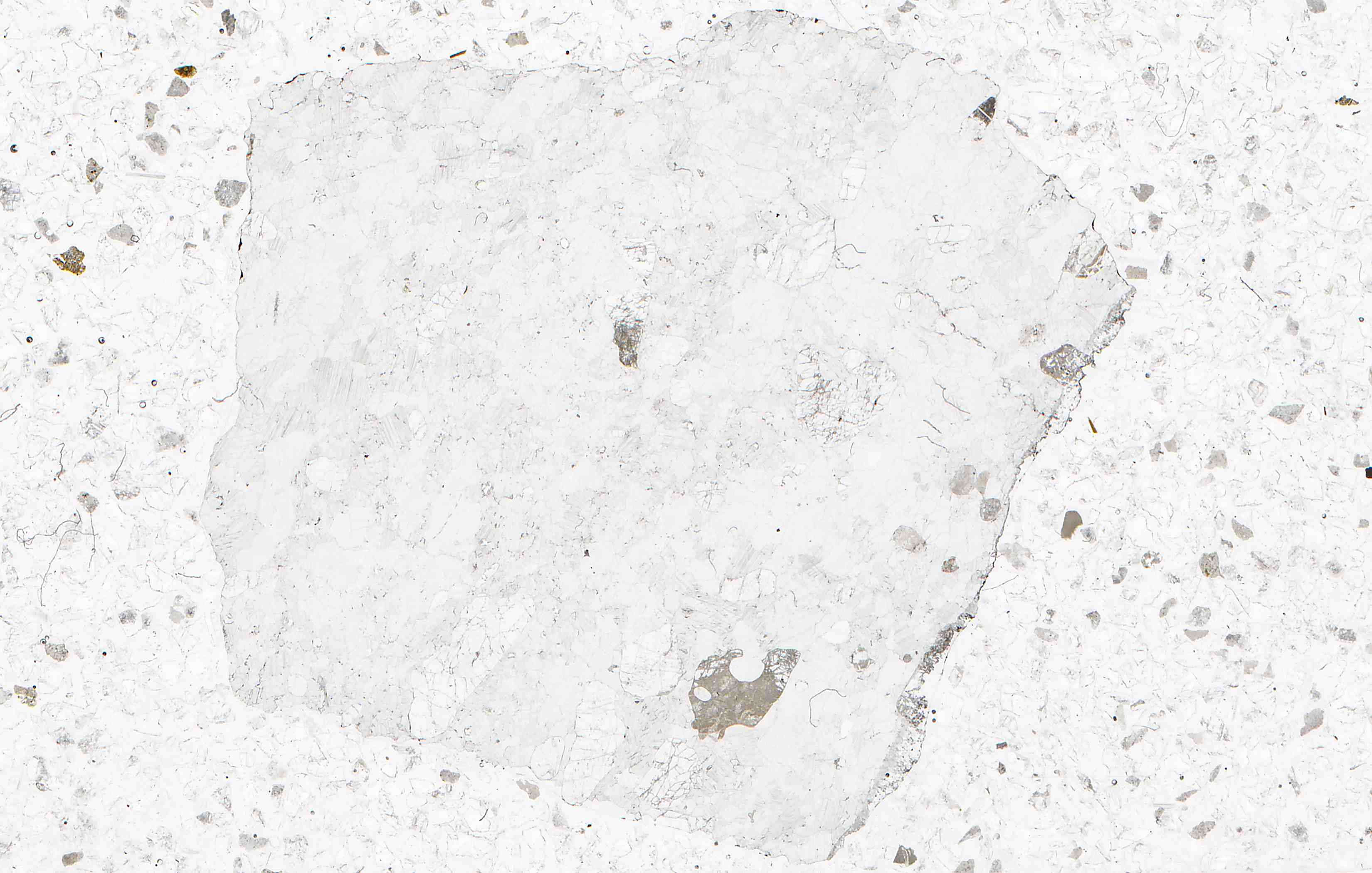 Crestmore California monticellite and hydroxylapatite in thin section