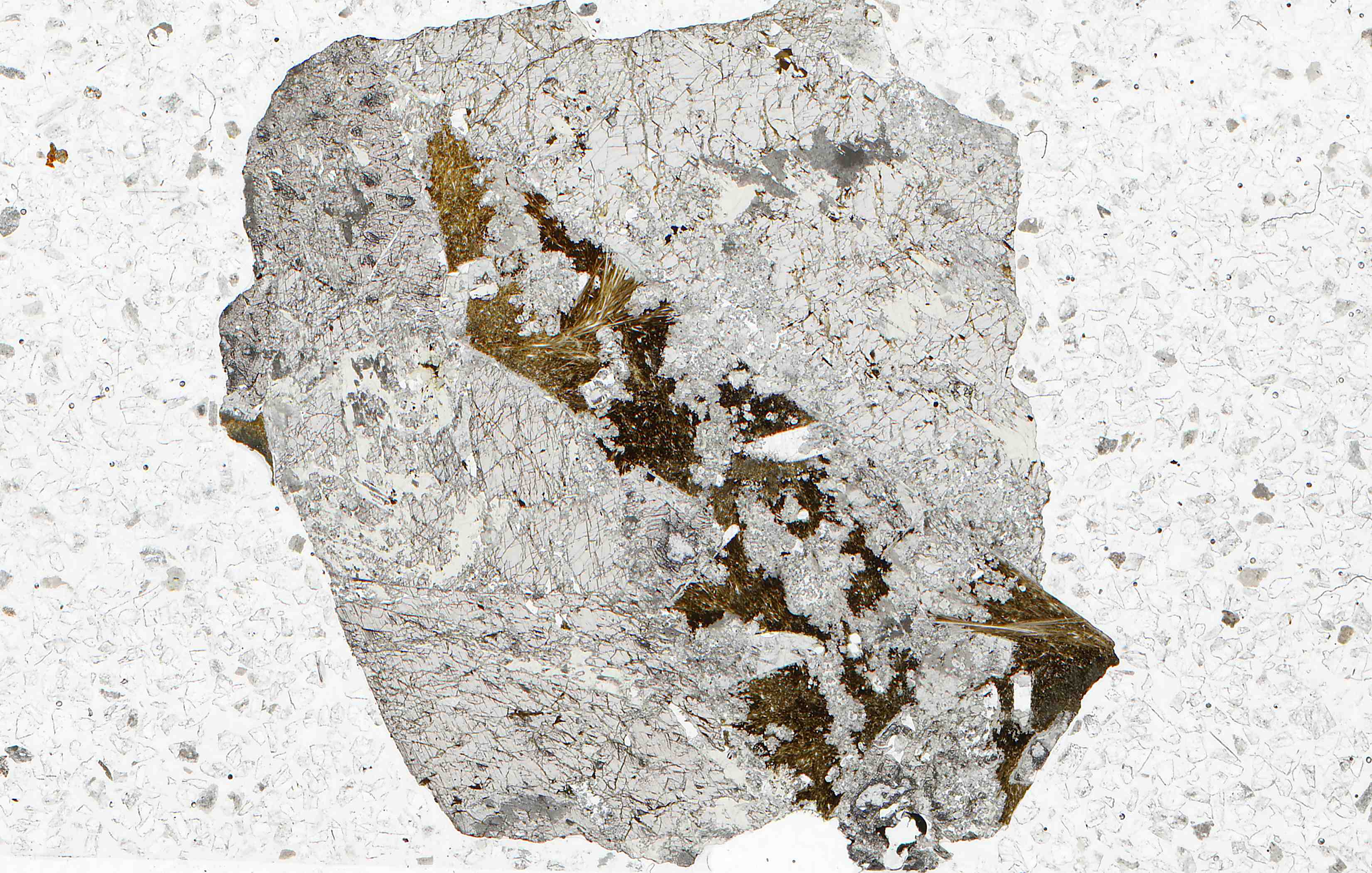 Nippyo mine Japan proto-ferro-suenoite in thin section