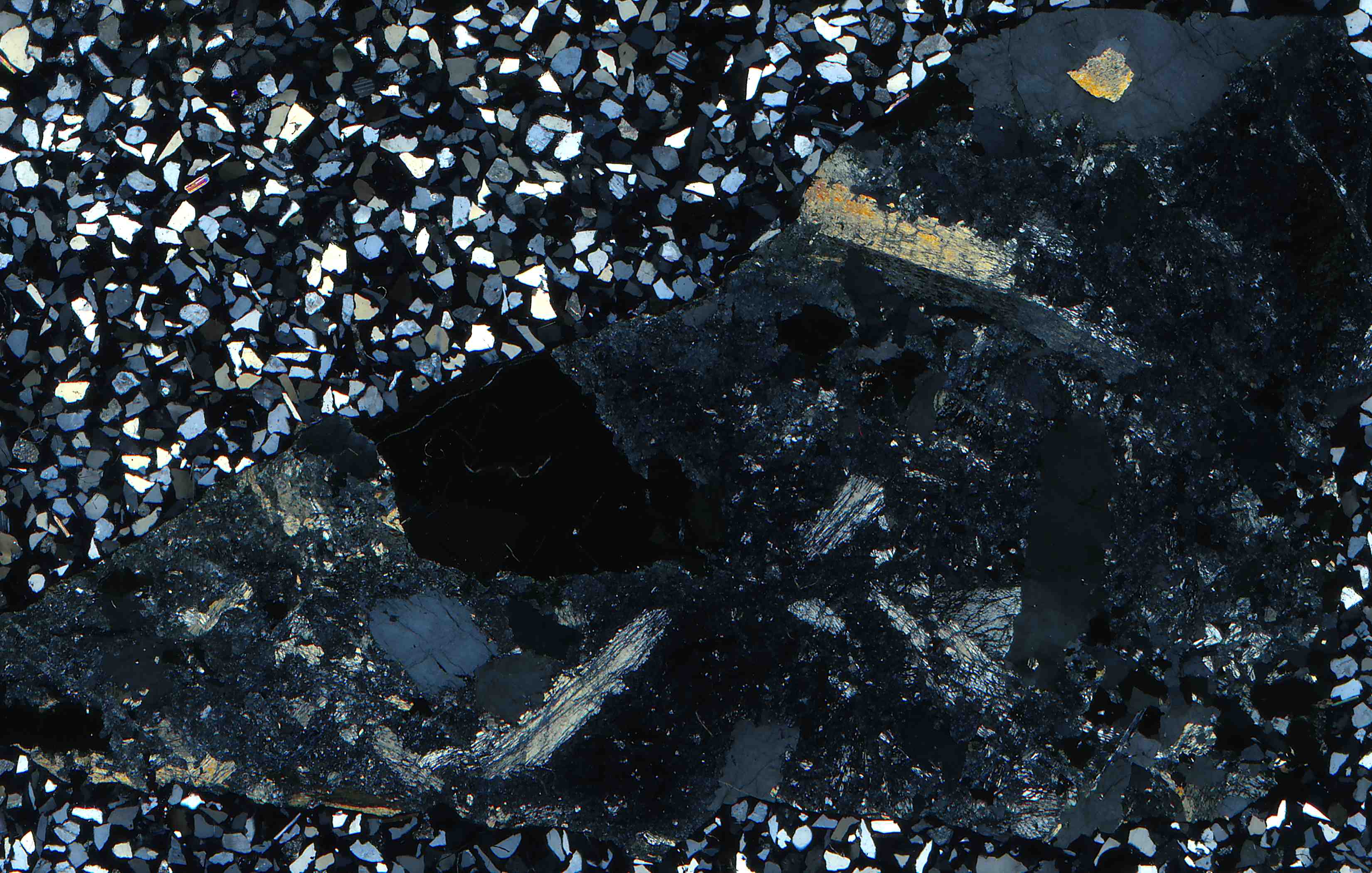 Sannidal Norway chlorapatite and magnesio-hornblende in thin section