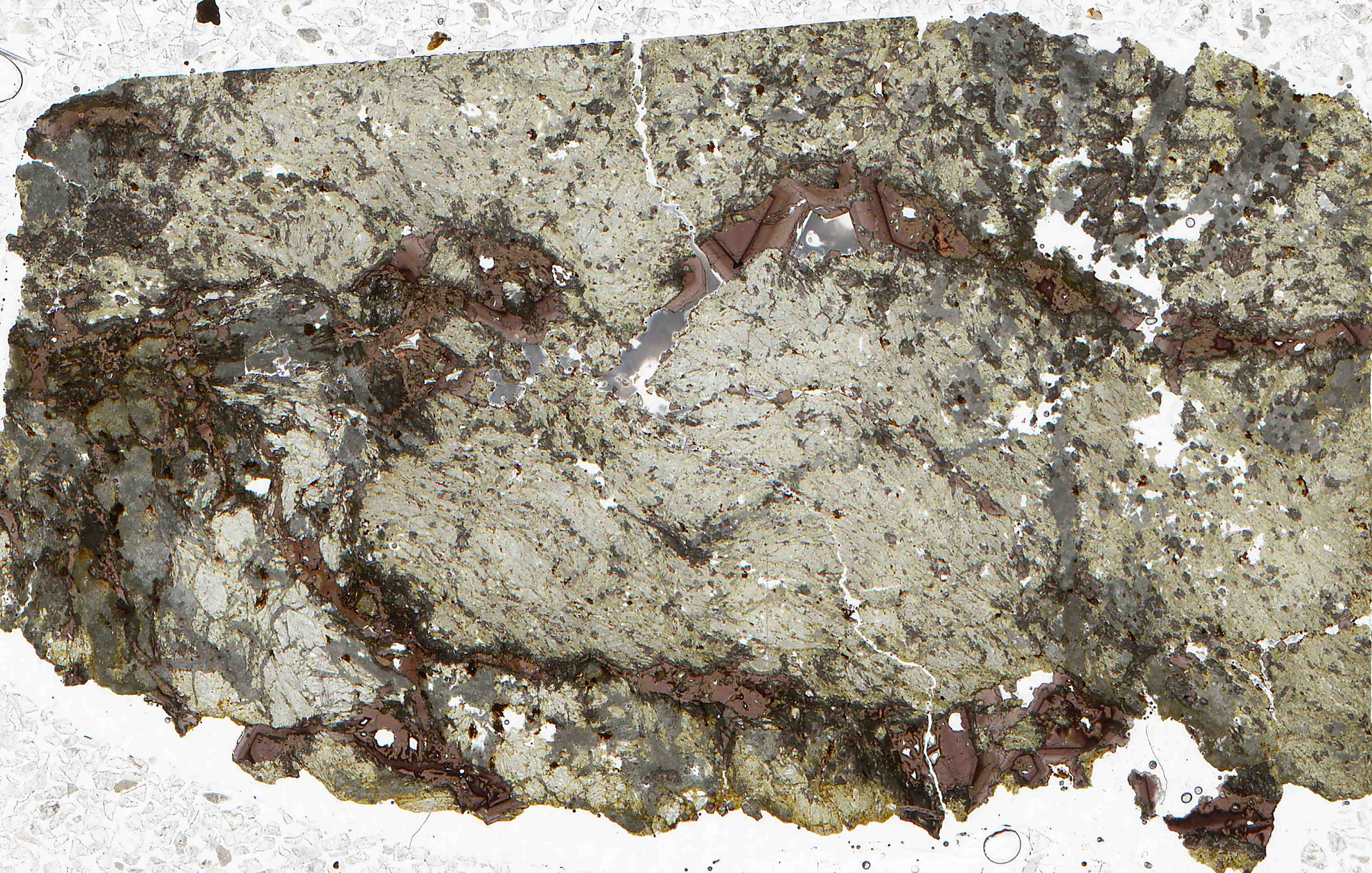 California melanite garnet in thin section