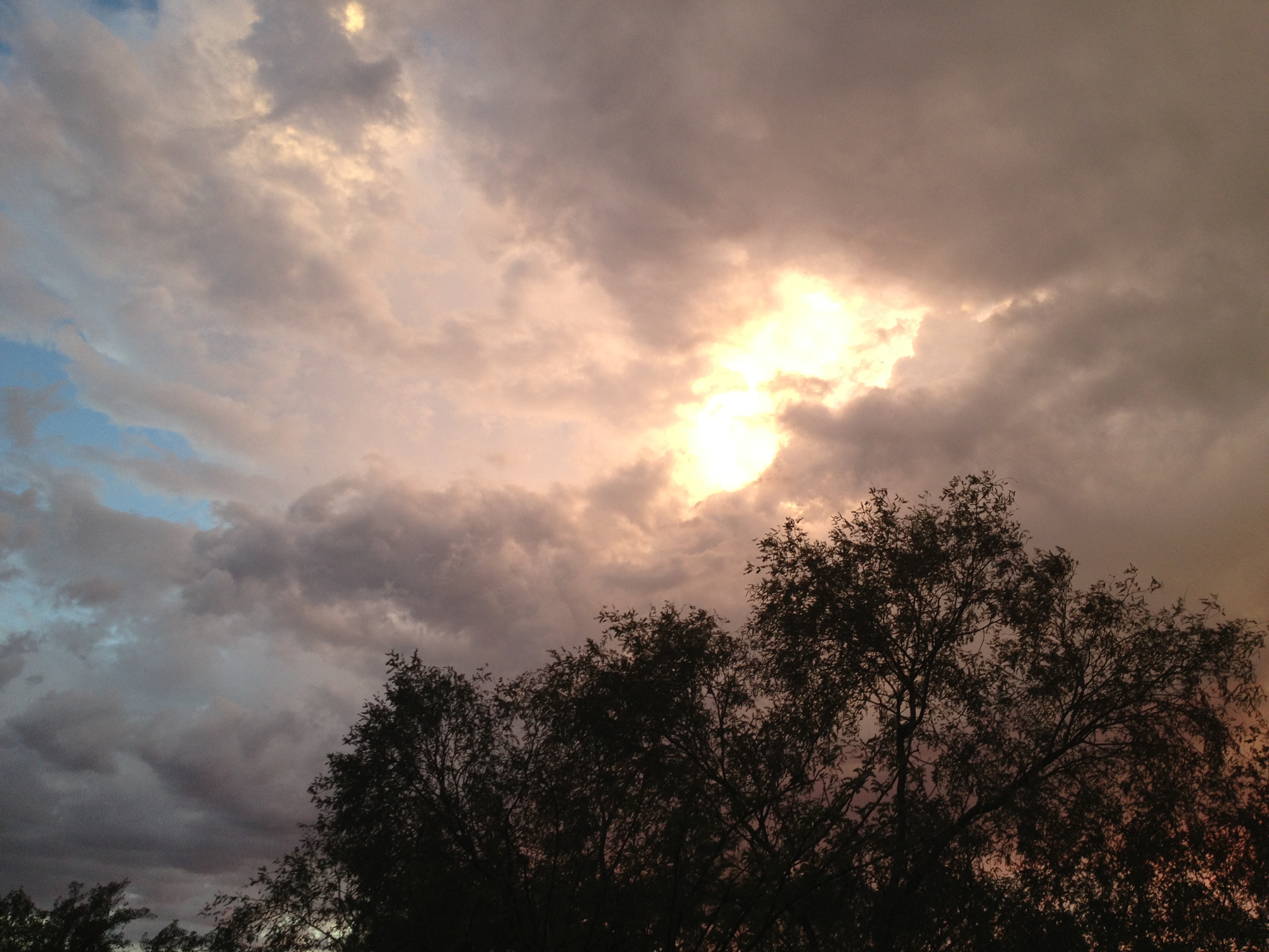 Tucson sunset 7
