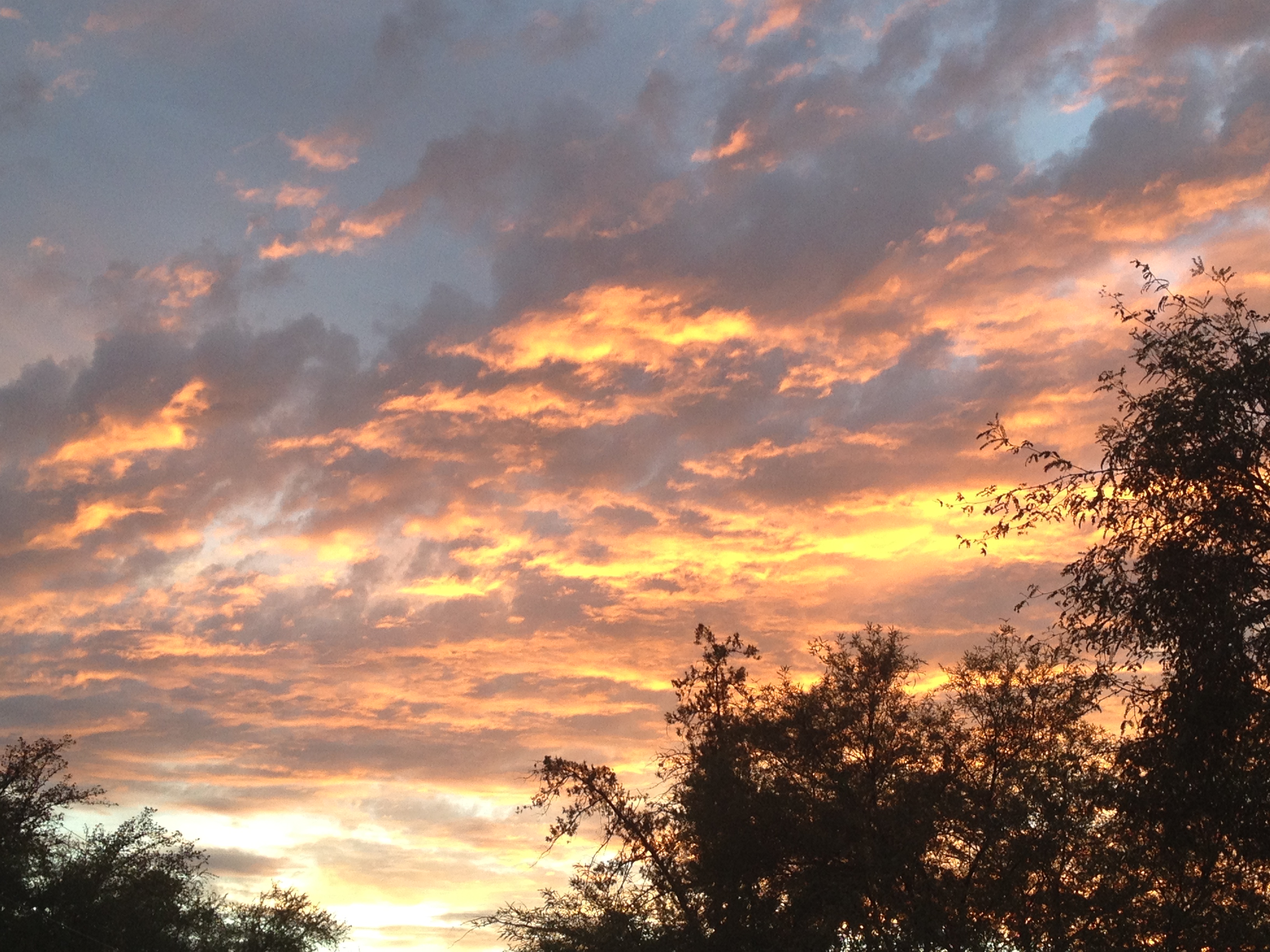 Tucson sunset 21
