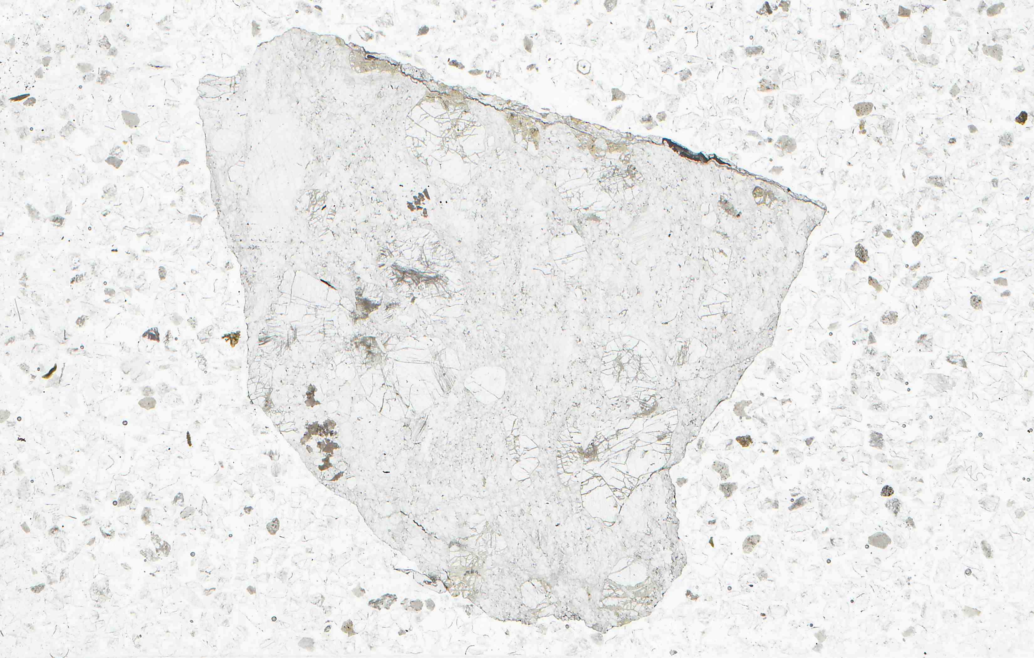 Crestmore California monticellite marble in thin section