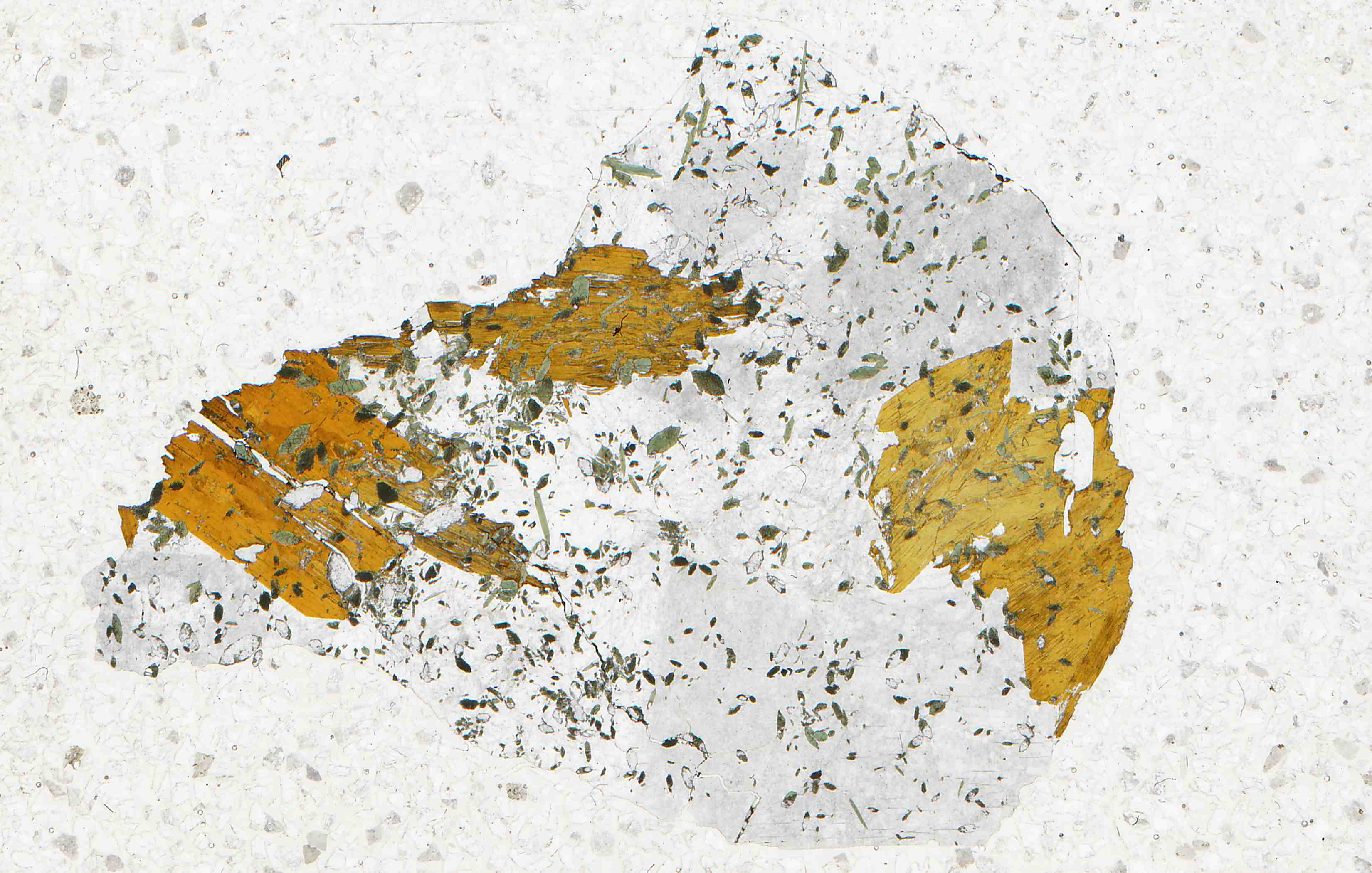 Langesundfjord Norway astrophyllite syenite in thin section