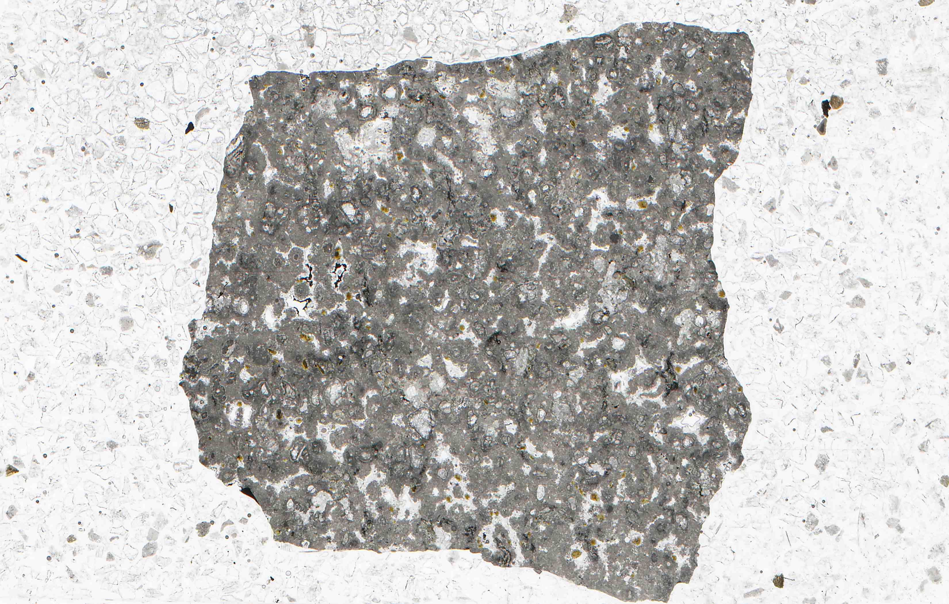 Eifel Germany andradite in thin section