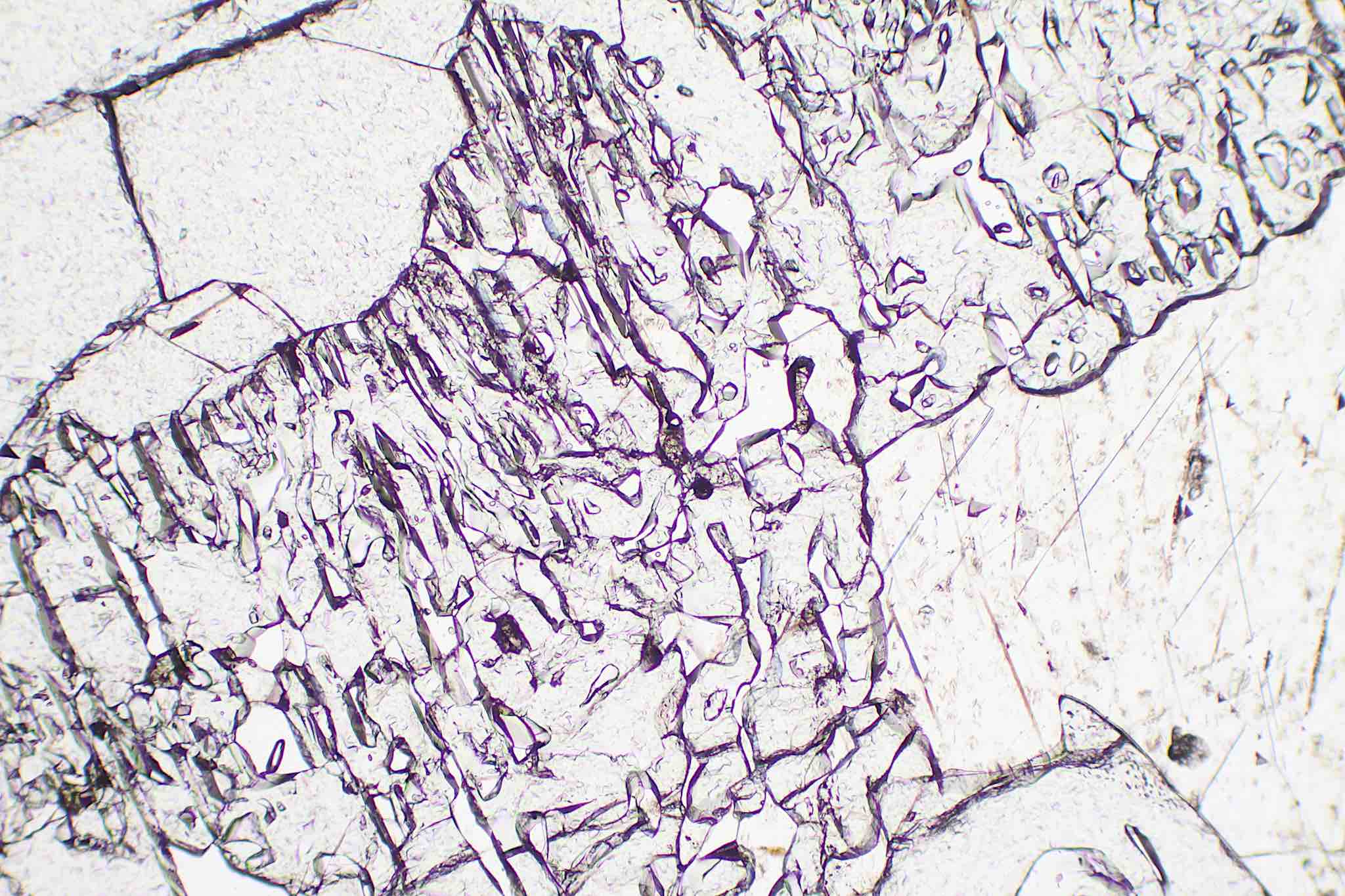 tsavorite and tanzanite in thin section Merelani Tanzania