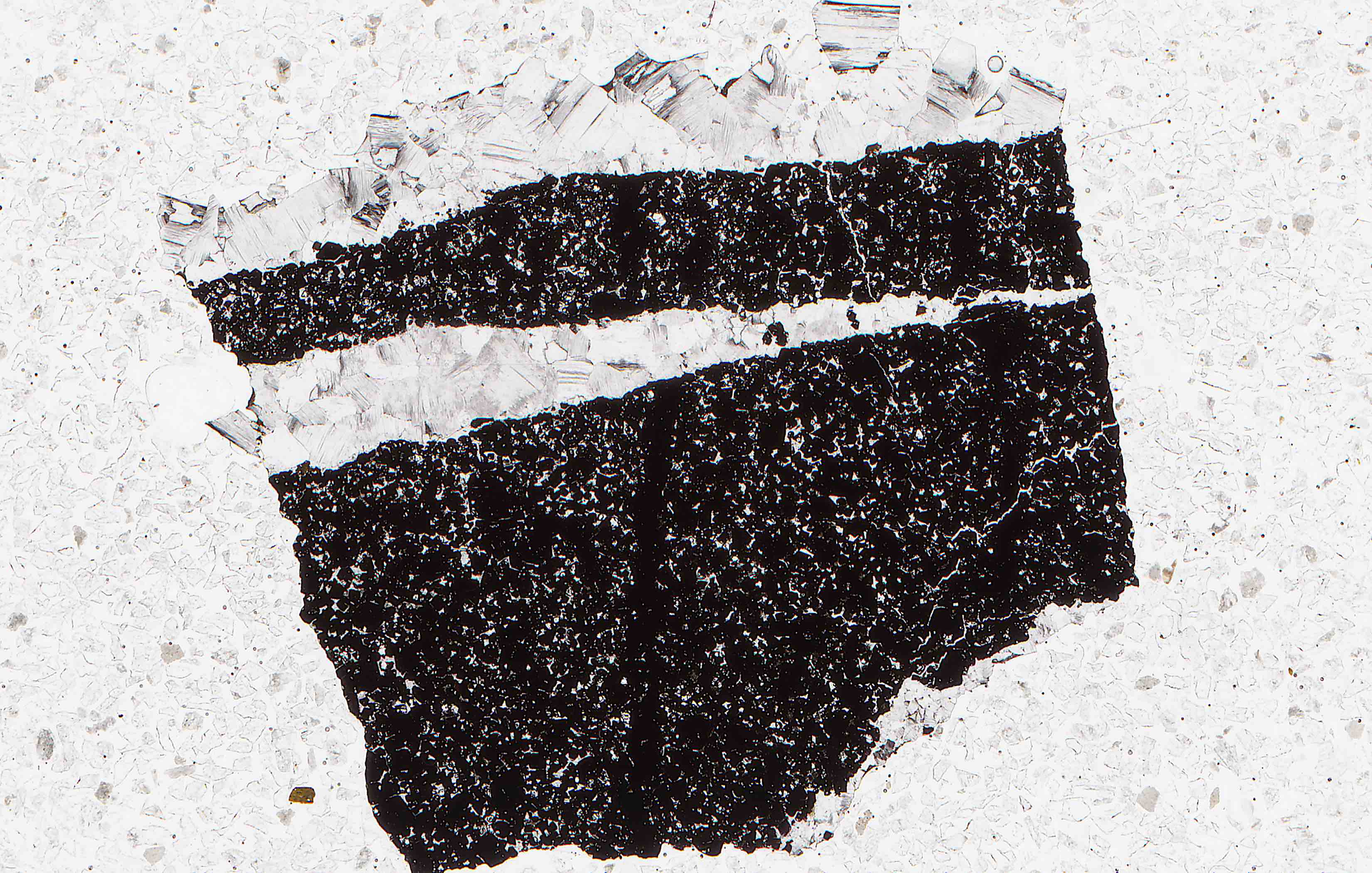 amesite and chromite in thin section from Sarany Russia