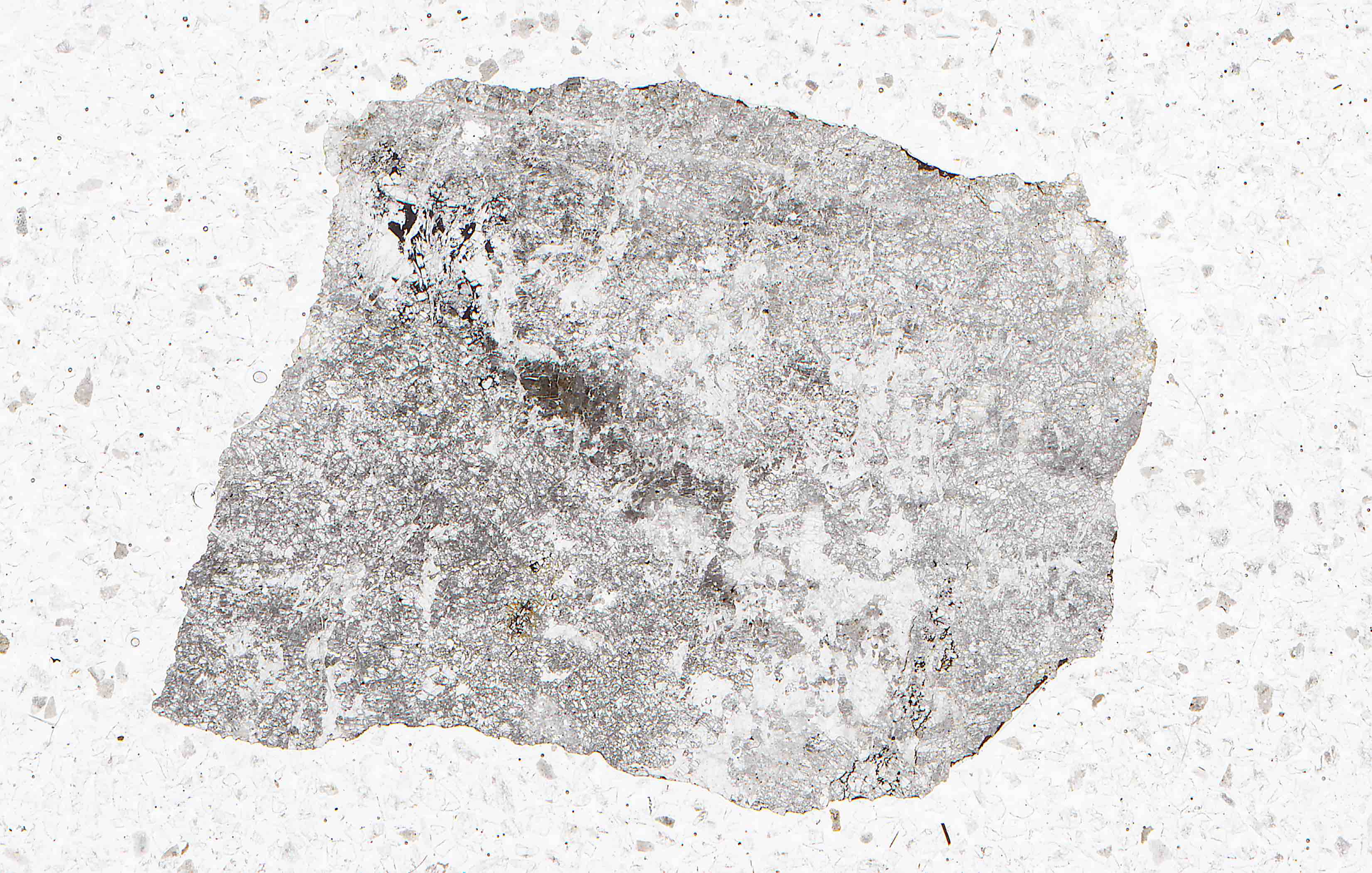 pabstite in thin section from Kalkar Quarry California