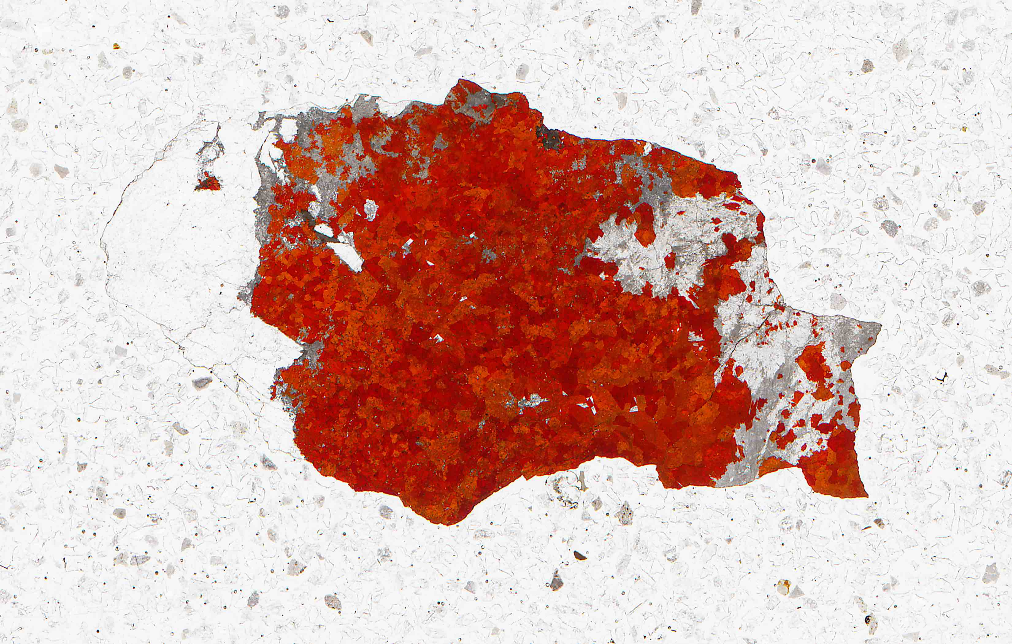 neptunite in syenite in thin section from Ilímaussaq Greenland