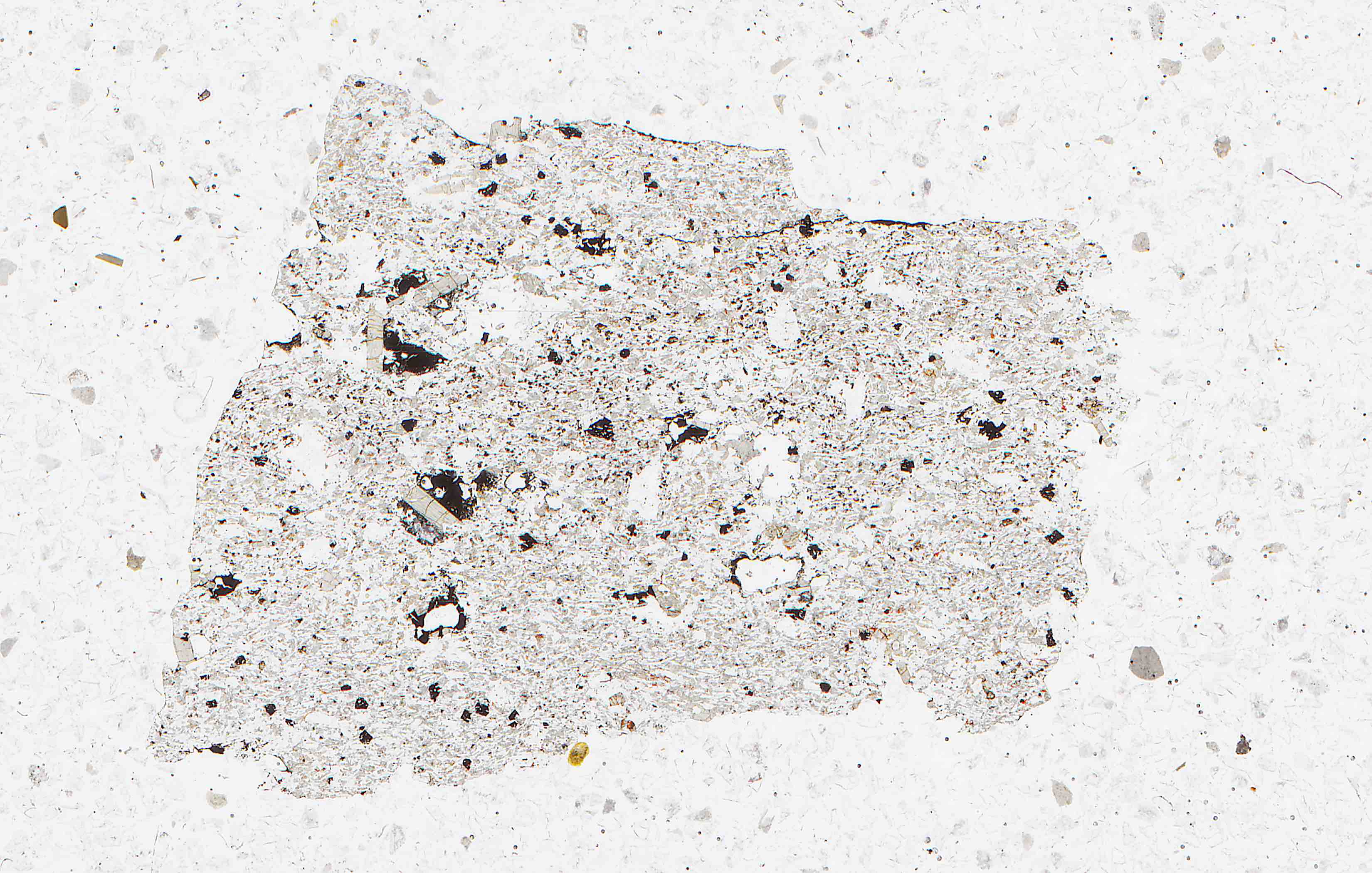 fayalite in thin section from Oregon