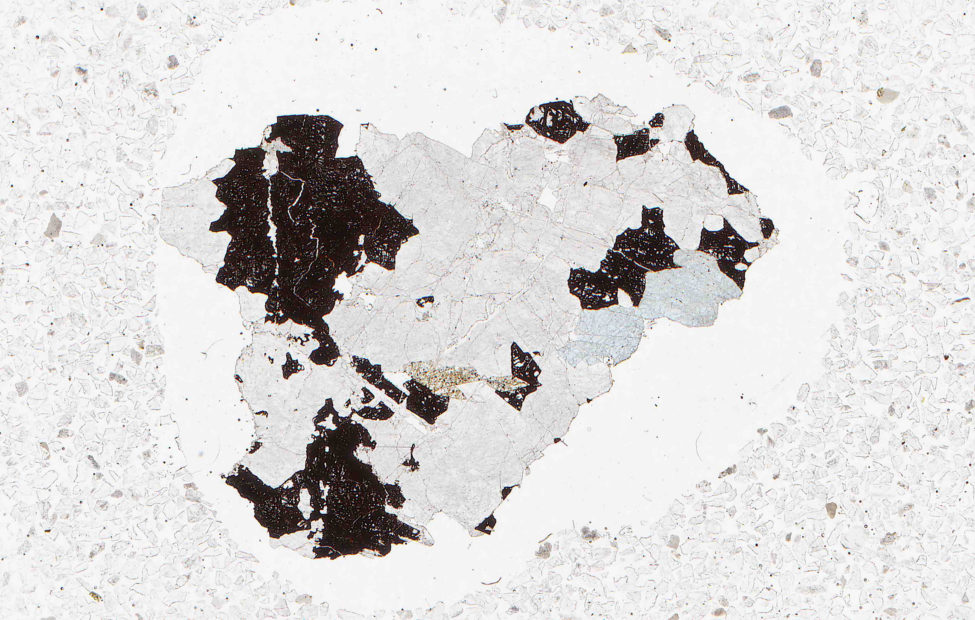 lazulite in thin section from Austria